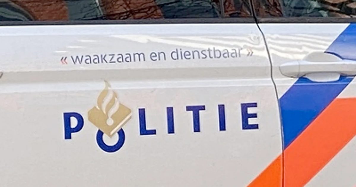 Dutch IT Channel - Politie en OM slaan internationaal botnet SocGholish ...