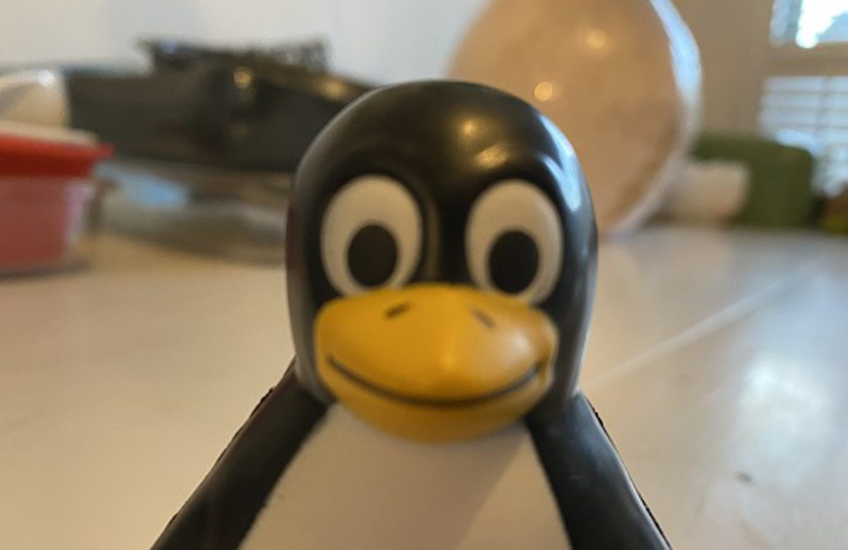 Linux Op Interface Dutch IT Leaders - Canonical brengt Ubuntu 26.04.1 LTS Resolute Raccoon uit
